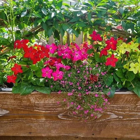 Lejlighed Urlaub Ueber Den Second Hand Laedchen *