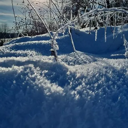 Apartment Urlaub Ueber Den Second Hand Laedchen