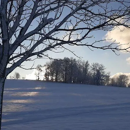 Lejlighed Urlaub Ueber Den Second Hand Laedchen