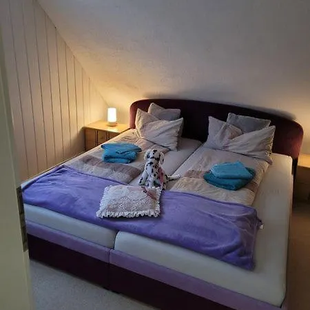 Urlaub Ueber Den Second Hand Laedchen Appartement *