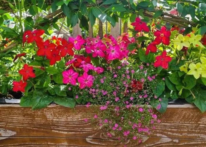 Lejlighed Urlaub Ueber Den Second Hand Laedchen *