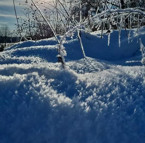 Lejlighed Urlaub Ueber Den Second Hand Laedchen