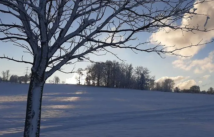 Appartement Urlaub Ueber Den Second Hand Laedchen