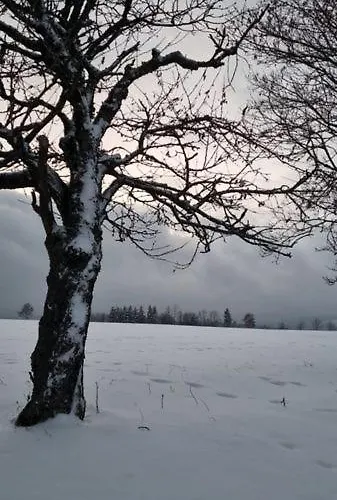 Urlaub Ueber Den Second Hand Laedchen Lejlighed *